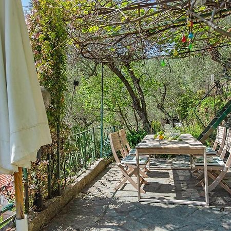 Tavernetta In Campagna Zoagli Exteriör bild